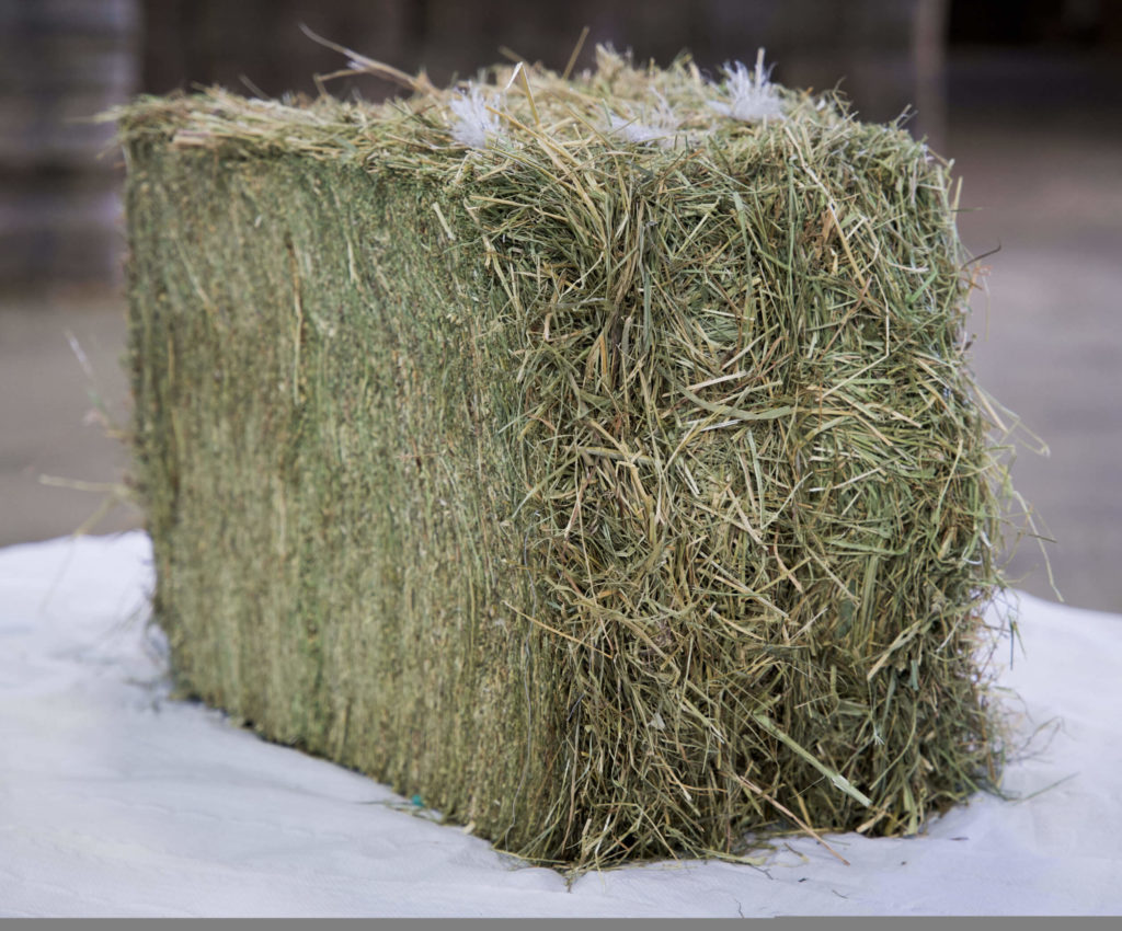 Compressed Hay Bales